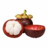 Mangosteen