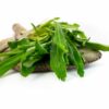 Parsley
