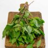 Sweet Basil