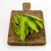 Winged Bean